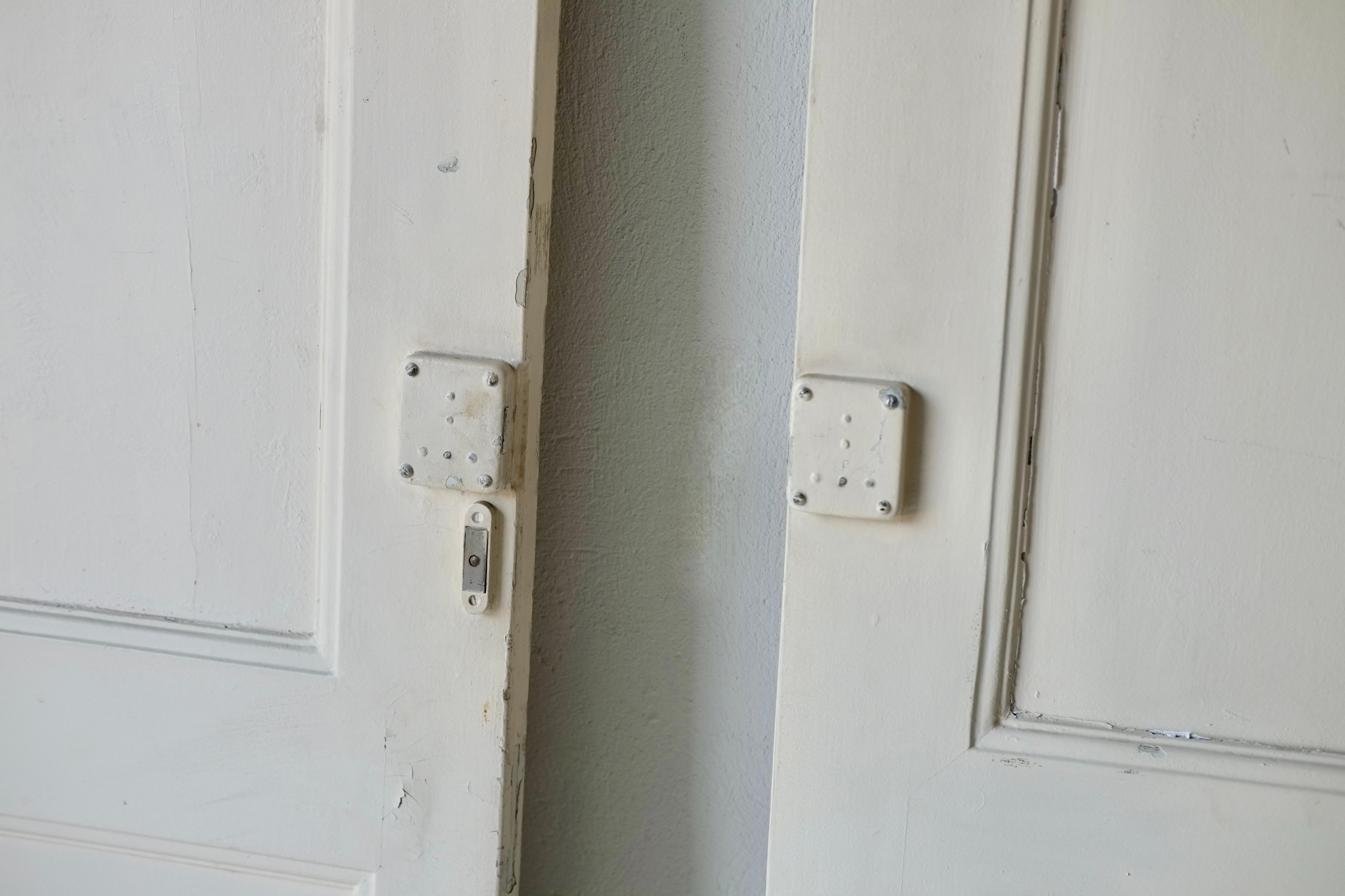 Wood André Sornay (1902-2000) Pair Of Doors For Sale