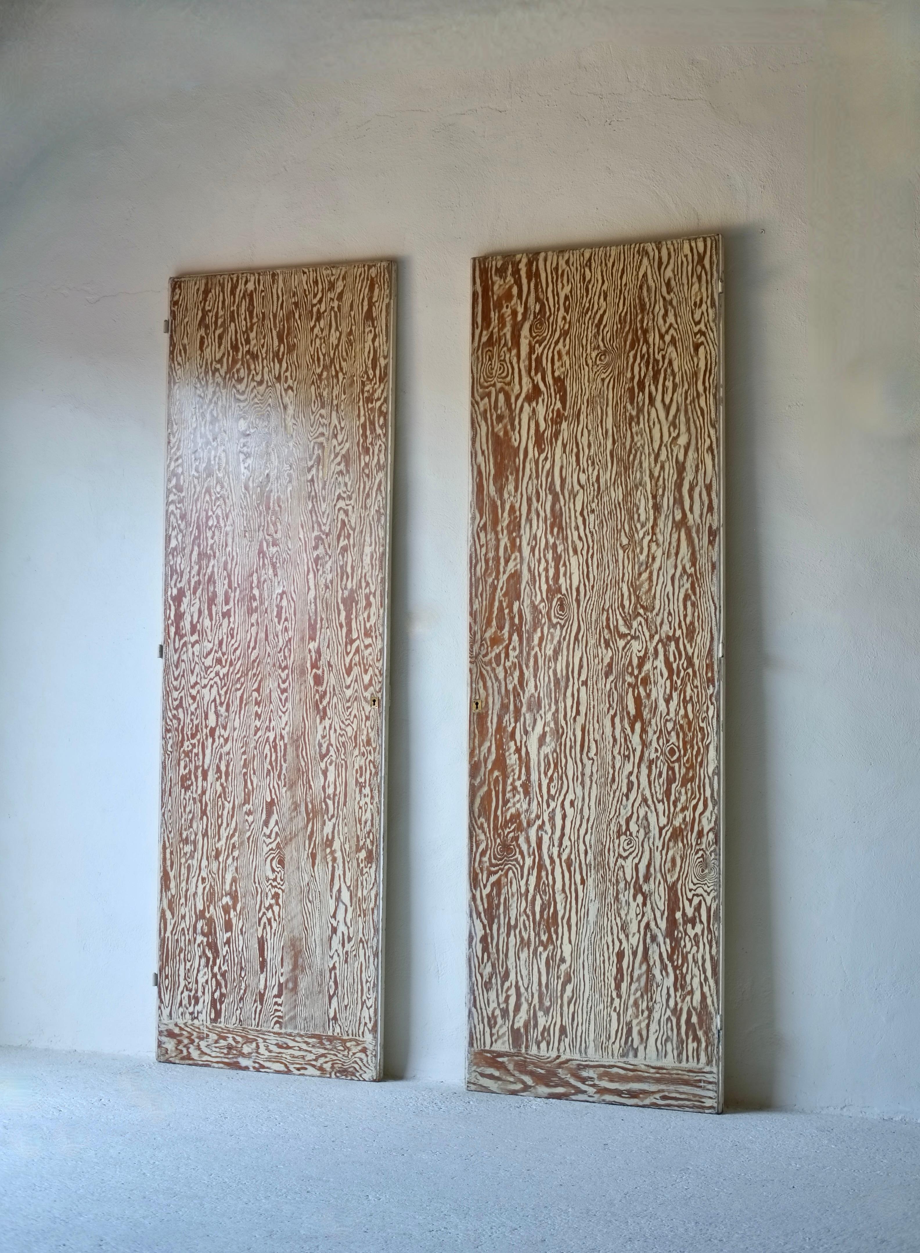 André Sornay (1902-2000) Pair Of Doors For Sale 2