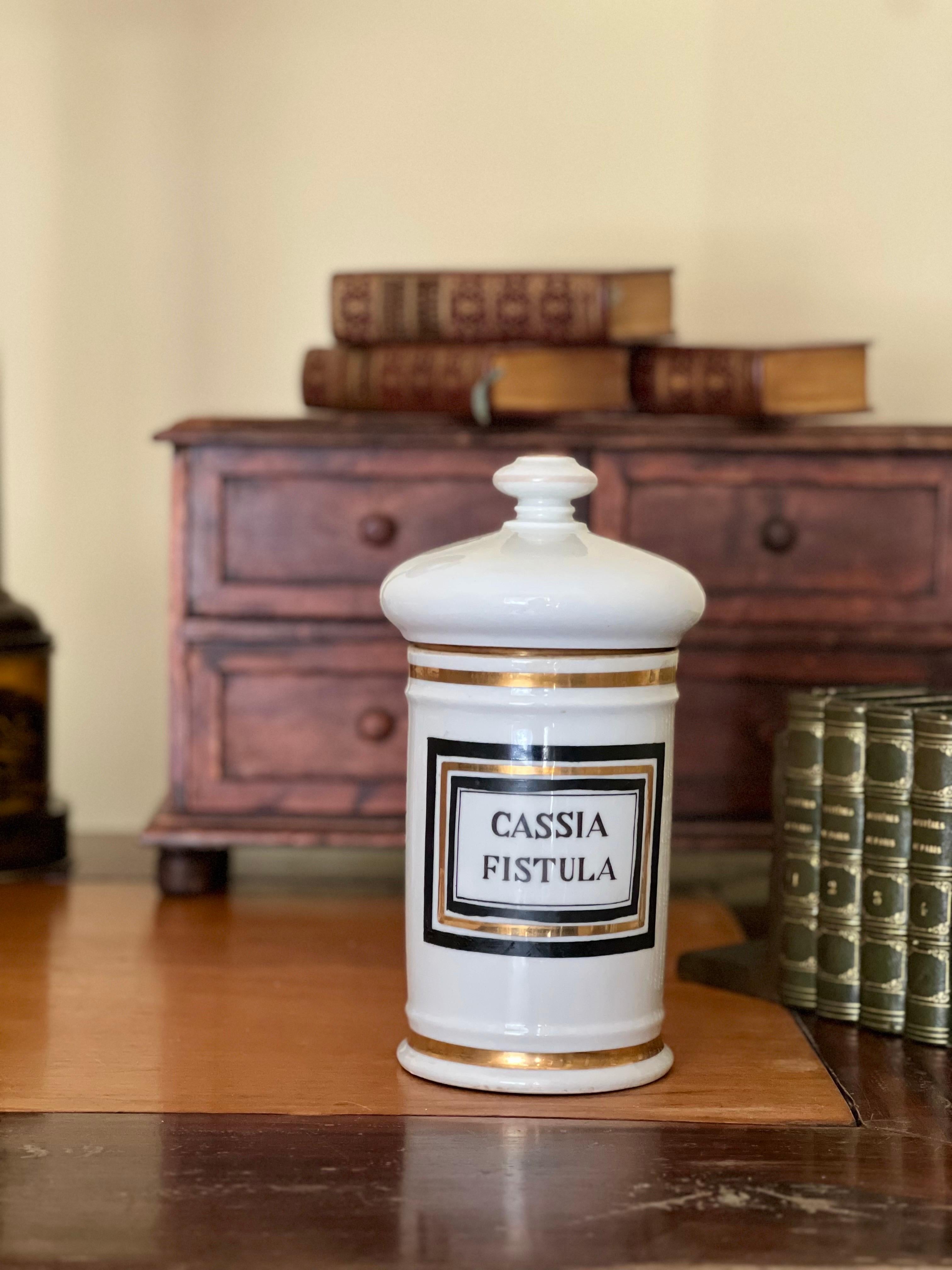 Grande vaso da farmacia in porcellana di Limoges Francia del XIX secolo in vendita 6