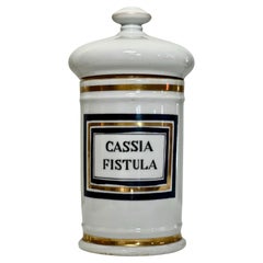 Grande vaso da farmacia in porcellana di Limoges Francia del XIX secolo