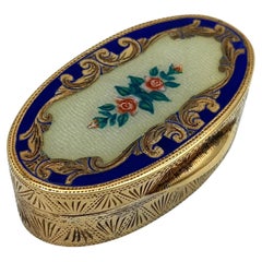 Portapillole in argento Sterling Enamel dipinto a mano in stile Art Nouveau in miniatura floreale
