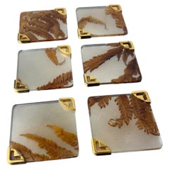 Aldo Tura Style Coasters, Lucite with Dry Leaves, Set of 6, Italy, 1970s