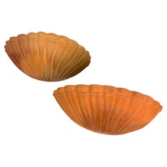 Coppia di applique vintage italiane “Shell Wall”, grandi sculture in terracotta, intorno al 19