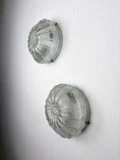 Pair of "Daisy Flower" Wall Sconces by Limburg, frosted glass, Germany 1960s