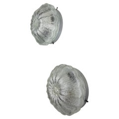 Pair of "Daisy Flower" Wall Sconces by Limburg, frosted glass, Germany 1960s