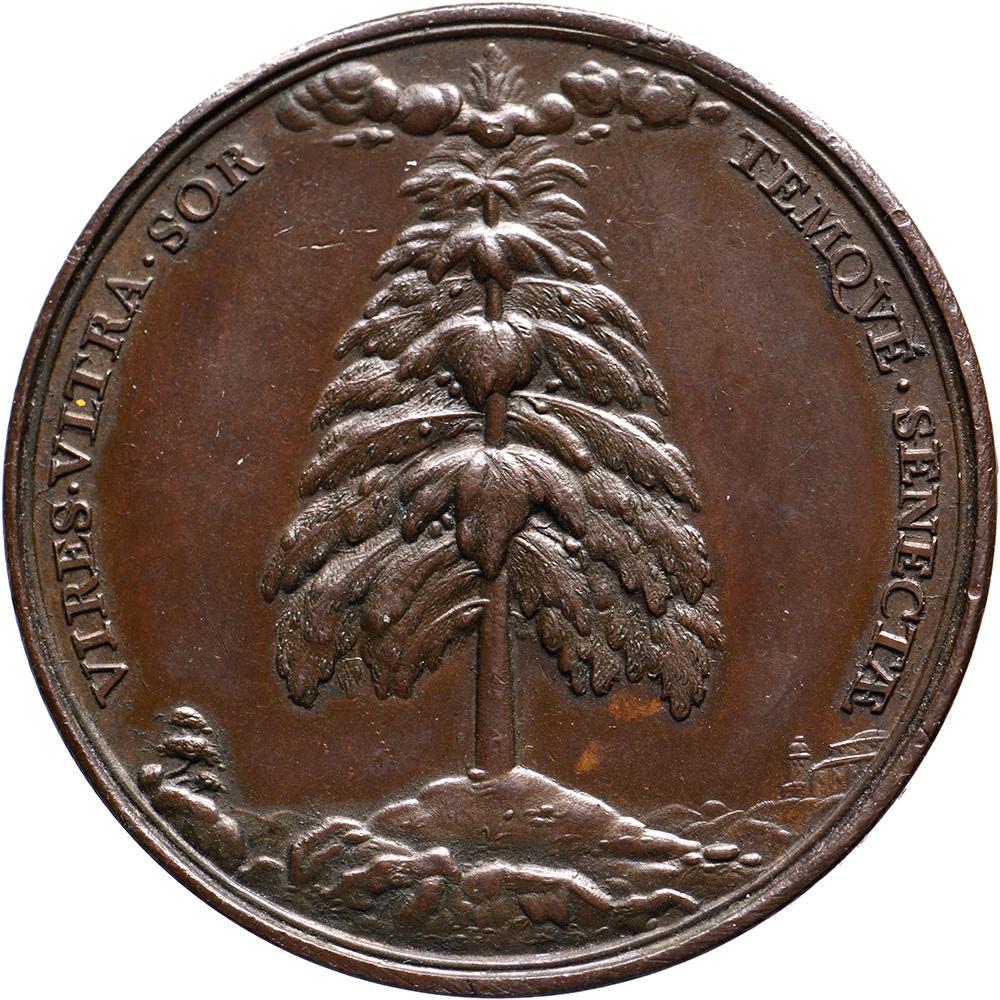 Trompe l'oeil della medaglia d'argento del Dr. Nicolaes Tulp, sindaco di Amsterdam in vendita 1
