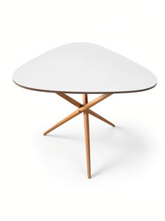 Werkstätte Carl Auböck Triangular folding side table 1950's