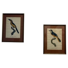 Pair Of Early 19th Century Prints