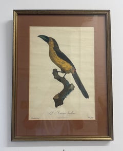 Pair Of Early 19th Century Prints