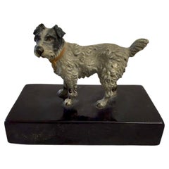 Early 20th Century Cold Painted Bronze Terrier Dog