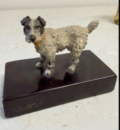 Early 20th Century Cold Painted Bronze Terrier Dog