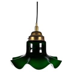 1960s 1970s Hanging Lamp from Peill & Putzler Germany Space Age Design