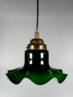 1960s 1970s Hanging Lamp from Peill & Putzler Germany Space Age Design