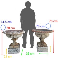 Two Large 19th Century Cast Iron Garden Urns on Later Cement Plinths