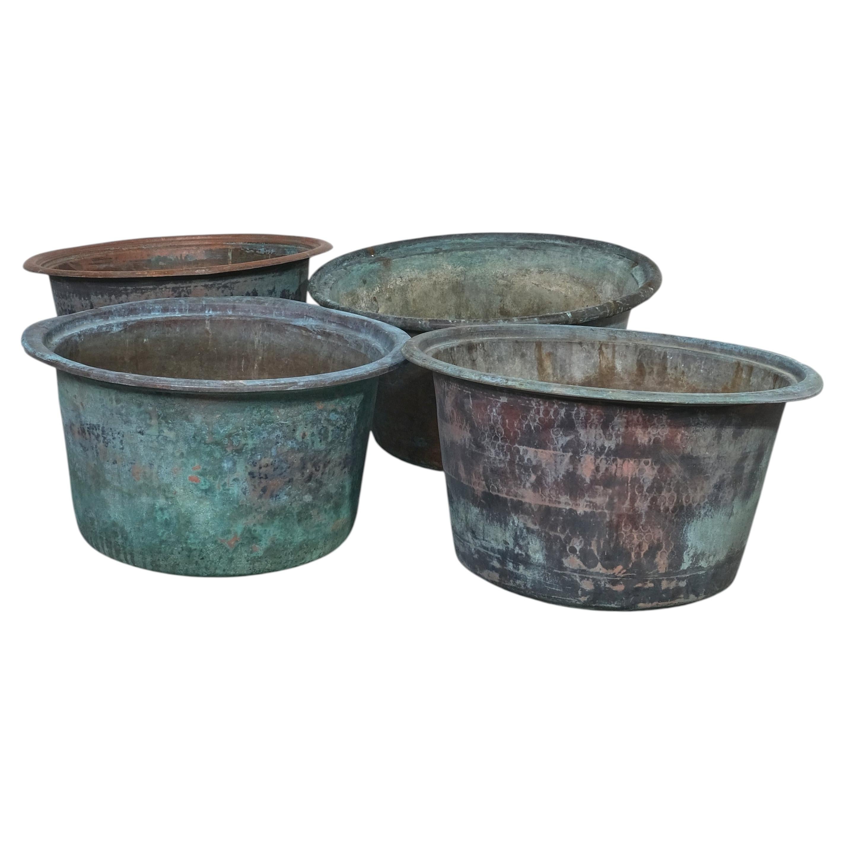 19th-Century English Large Copper Planters, circa 1880