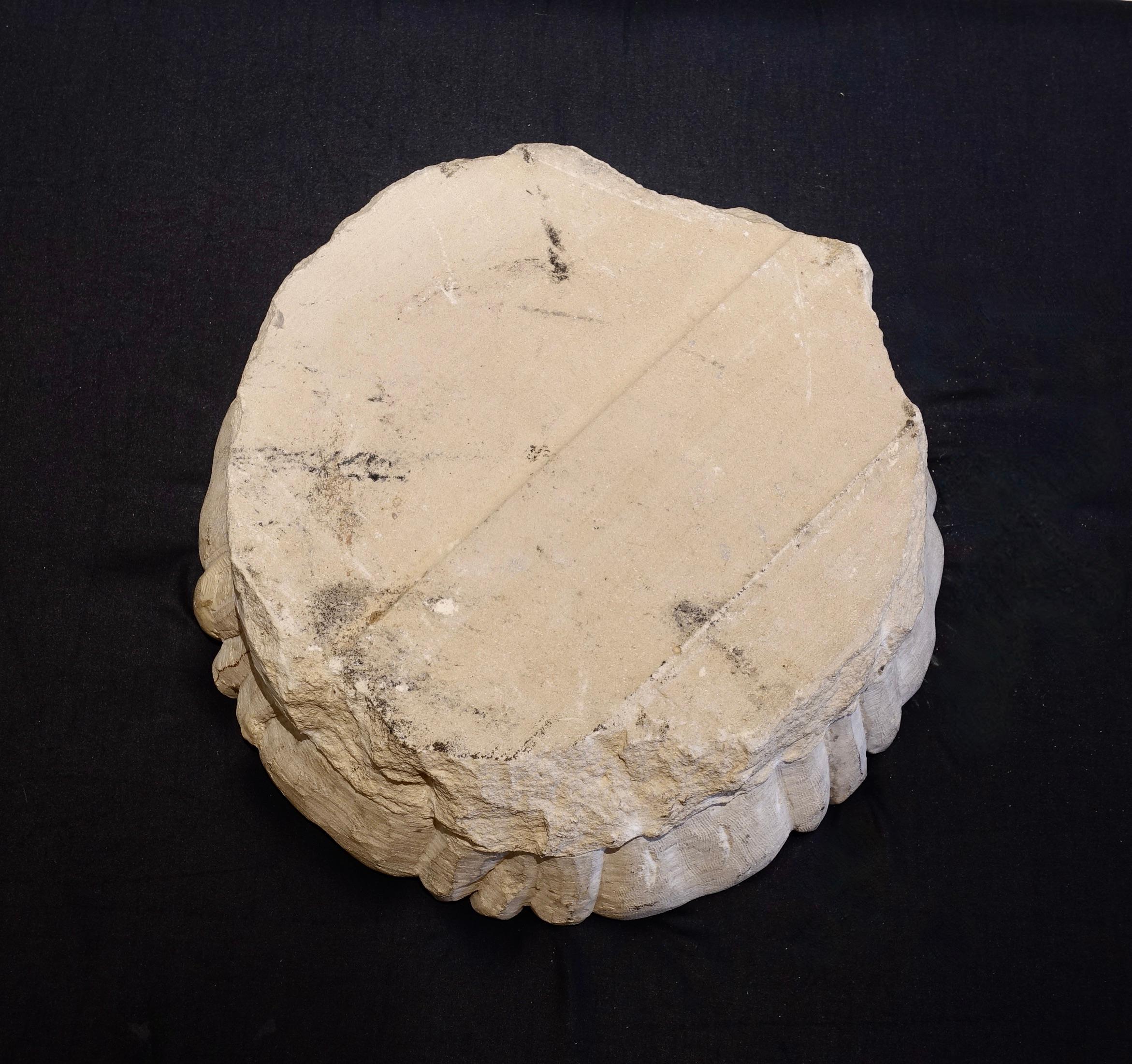Große geschnitzte Steinrosette - Frankreich, 18. Jahrhundert (Geschnitzt) im Angebot