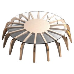 "Safari" Coffee Table with Bronze, From the Safari Collection, Istanbul