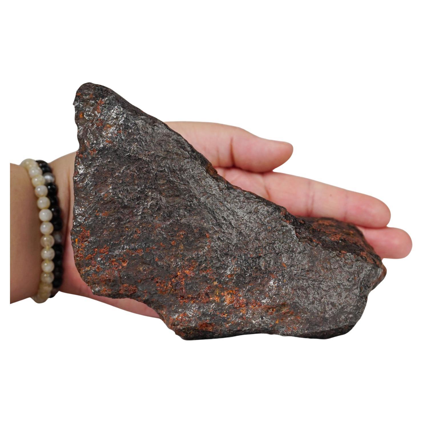Magnifique grande météorite en fer Diablo Canyon en vente