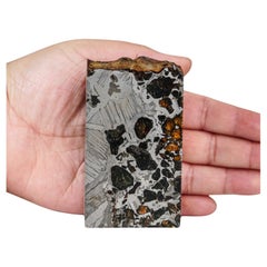 Genuine Seymchan Pallasite Meteorite
