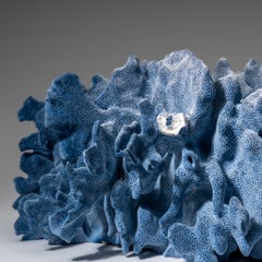 Coral Blue Ridge auténtico (6", 8,5 lbs)