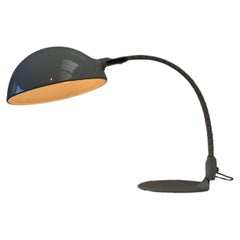 Italian table lamp Flex 660 by Elio Martinelli for Martinelli Luce