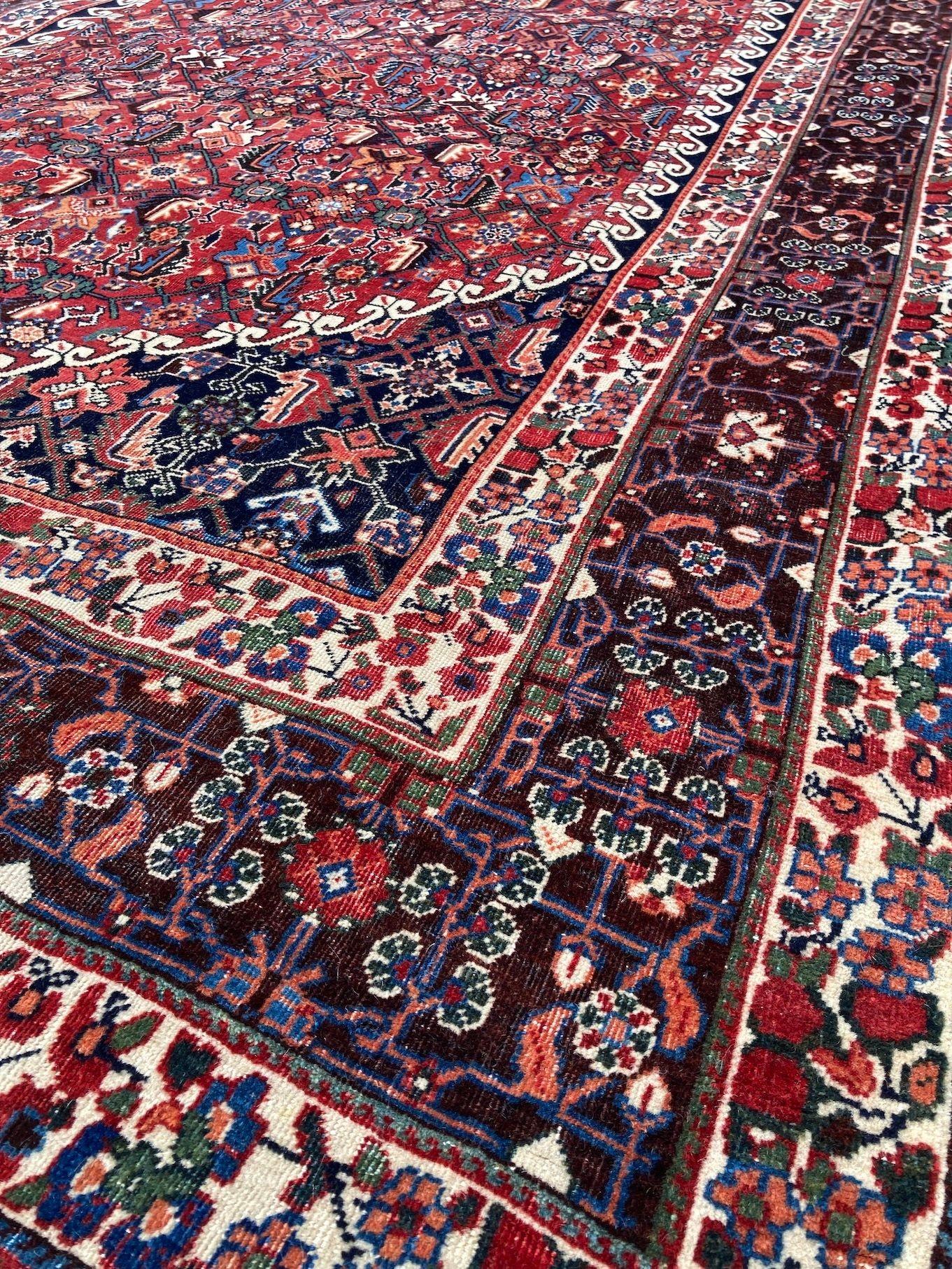 Tappeto antico Qashqai 2,61m x 1,65m in vendita 4