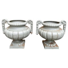 Antique A lovely pair of French Cast Iron urns