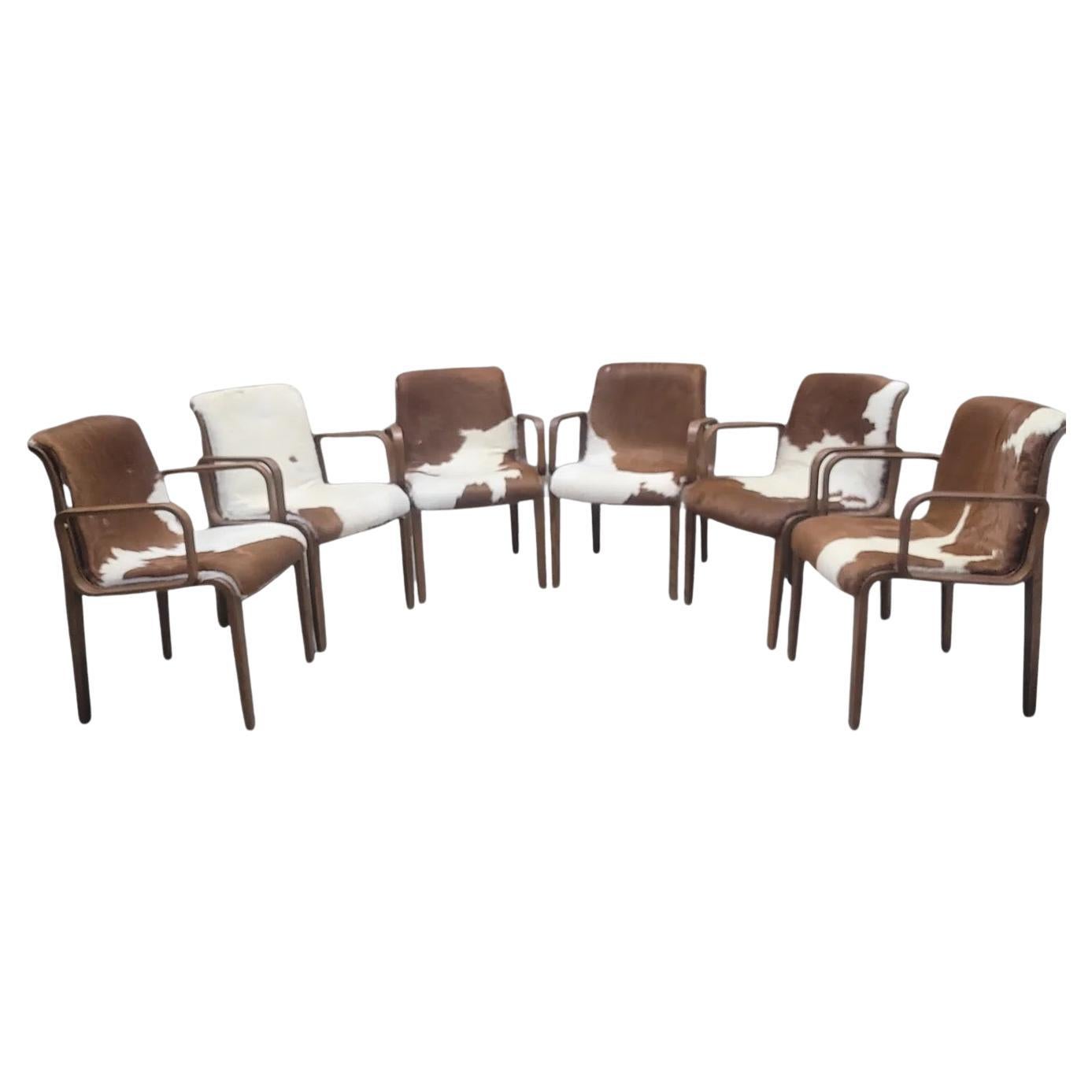 MCM Bill Stephens Walnut Cowhide Armchairs For Knoll Newly Upholstered, Set of 6