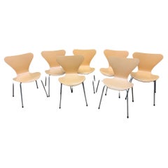 Sedie per la sala da pranzo