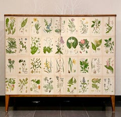 Swedish Modern 1950s Birch Cabinet with Antique Botanical Nordens Flora Decor