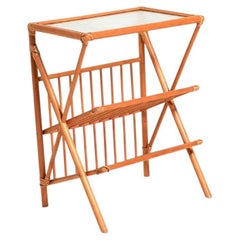 Vintage Scandinavian magazine cabinet