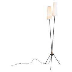 Scandinavian floor lamp with two lampshades, from the 1950s