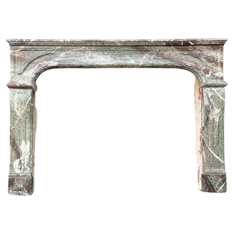 Fireplace Marble Campan Grand Mélange Louis XIV Style For Sale