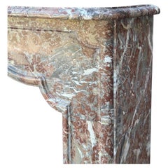 Regency-style fireplace in Rance marble, 19th century