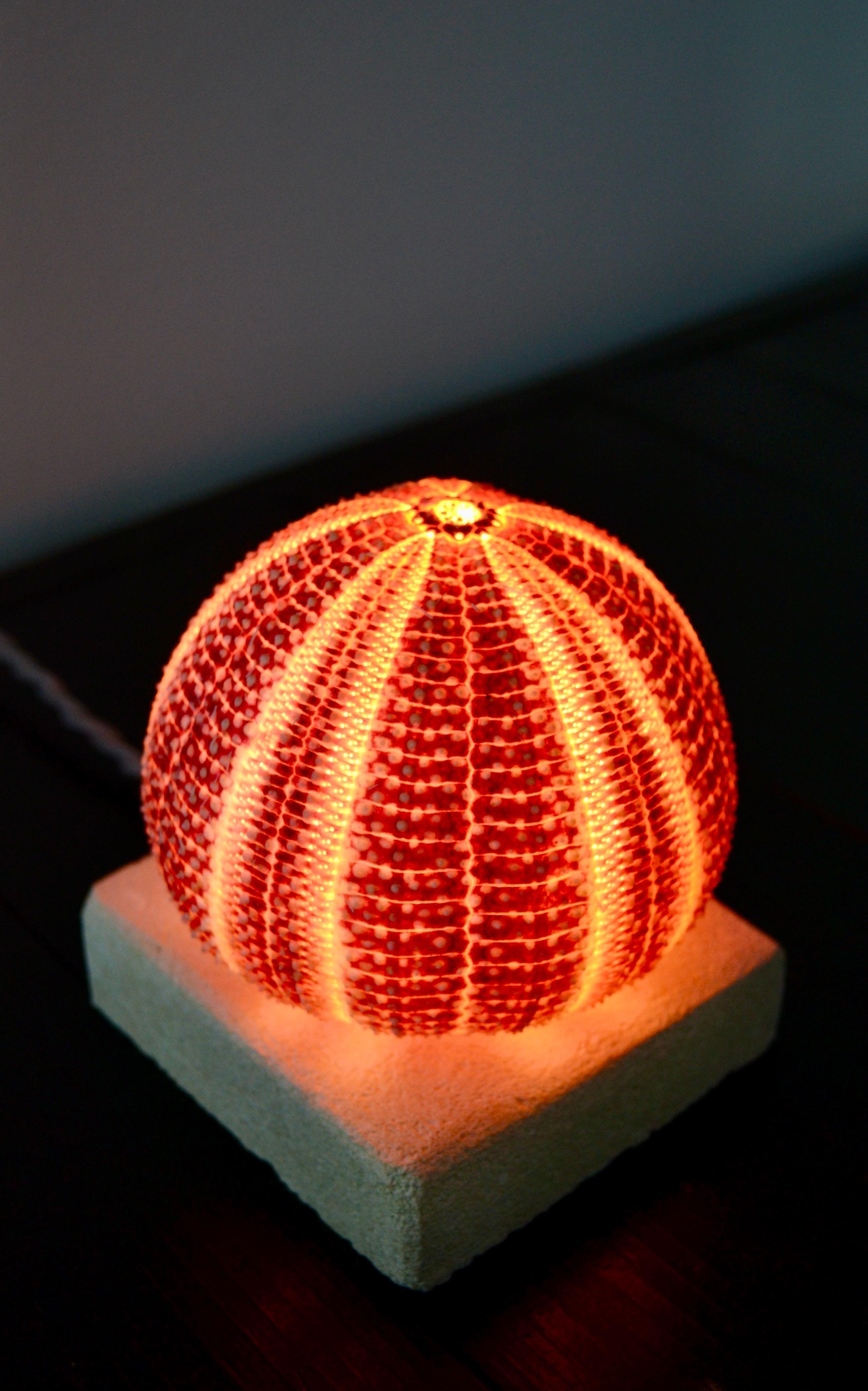 Fin du 20e siècle Une lampe «oursin » - Art populaire français - 1970 en vente