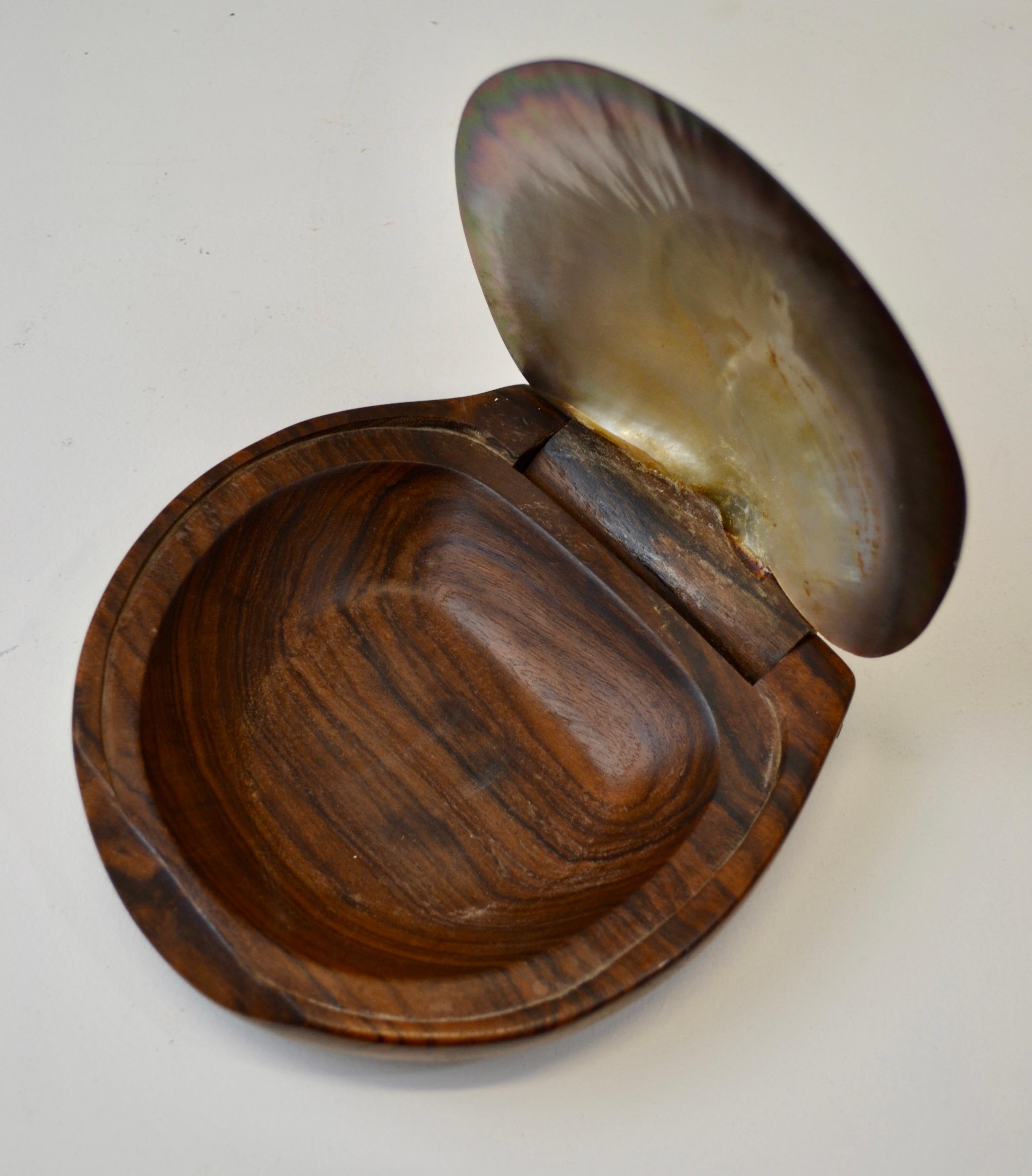 Hand-Crafted A shell and carved wooden box in the style of Alexandre Noll, France, 1950s For Sale