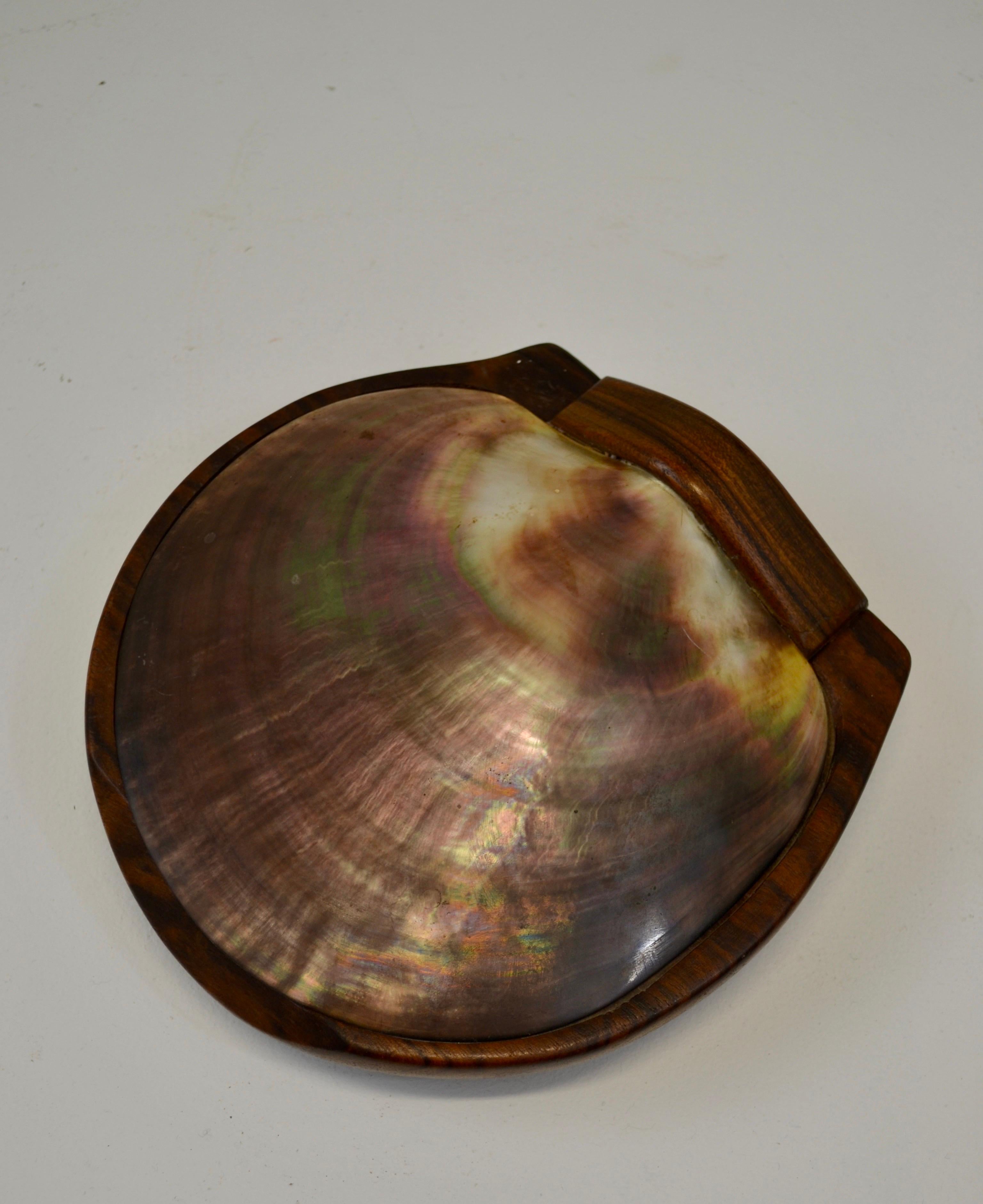 A shell and carved wooden box in the style of Alexandre Noll, France, 1950s In Good Condition For Sale In SOTTEVILLE-LÈS-ROUEN, FR