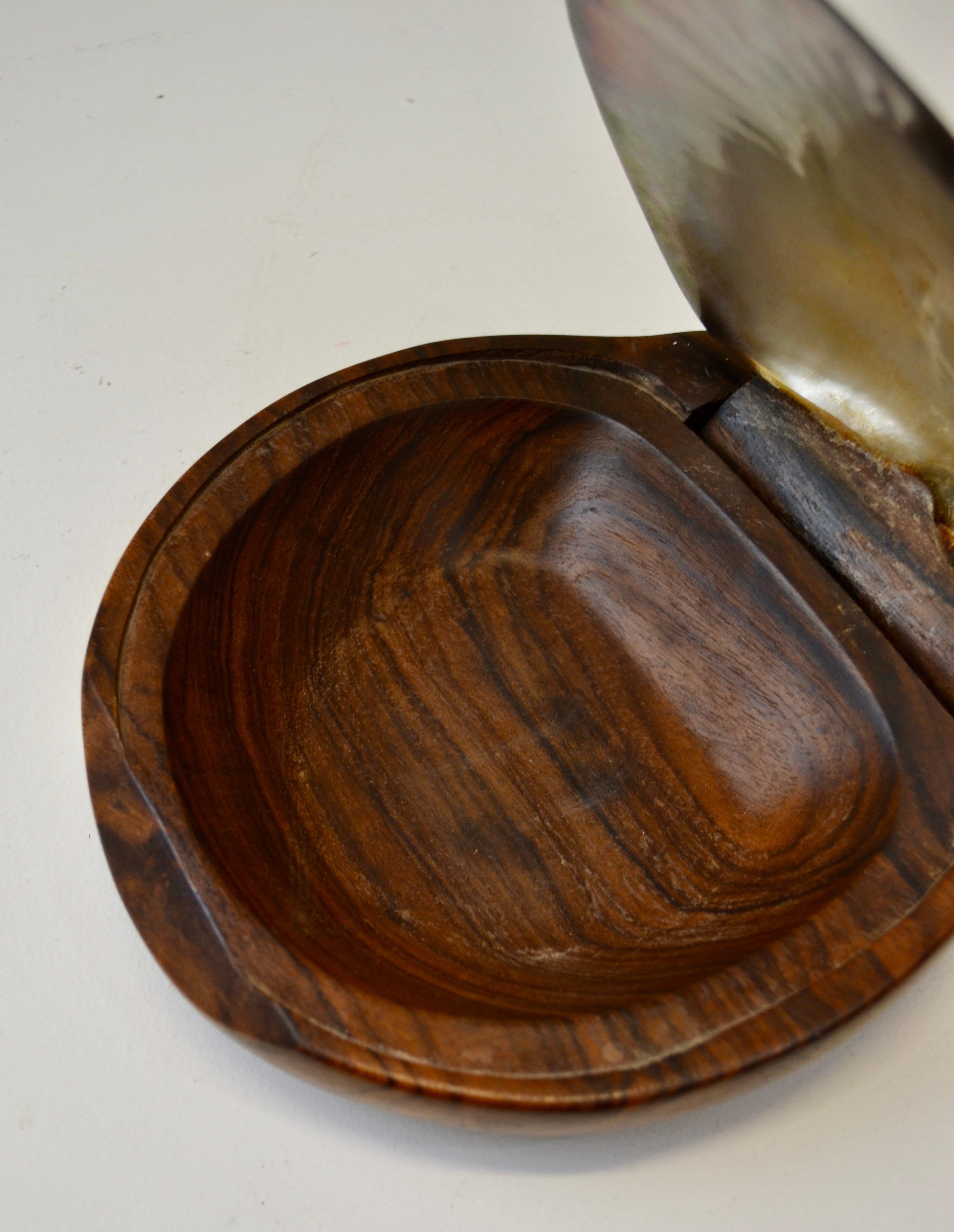 Mid-20th Century A shell and carved wooden box in the style of Alexandre Noll, France, 1950s For Sale