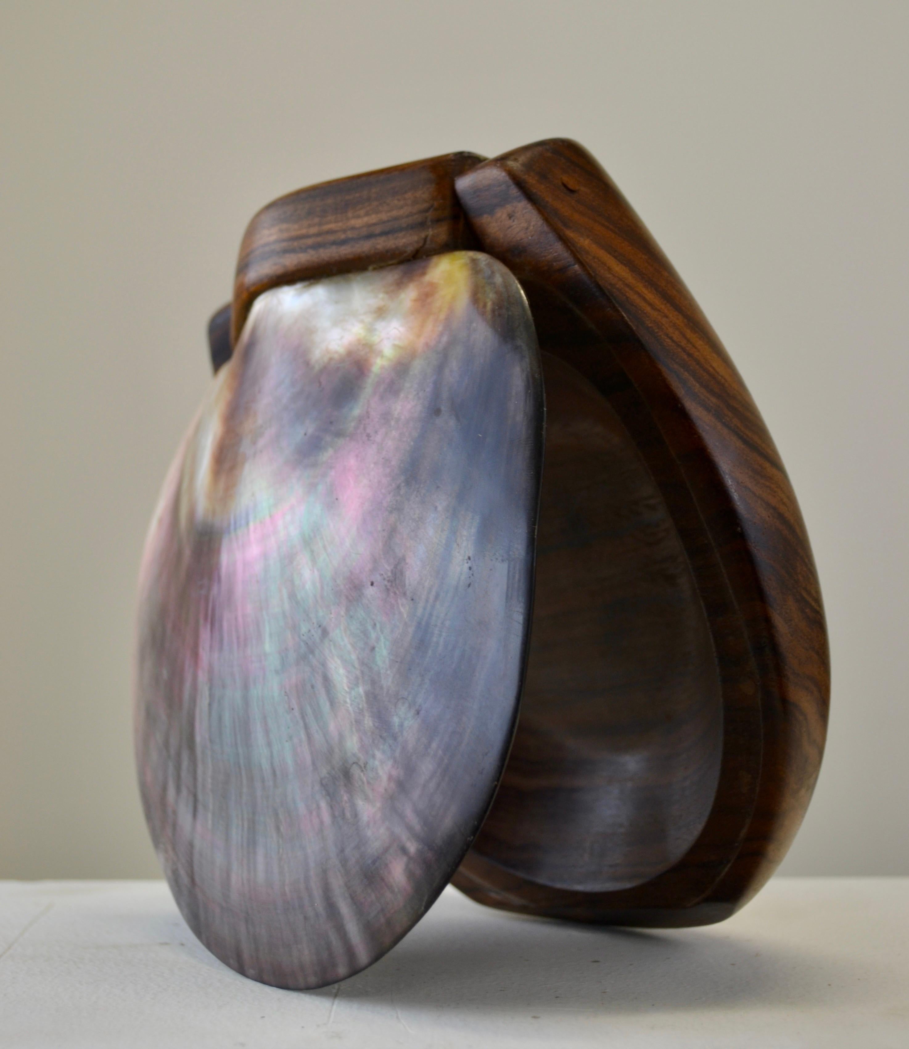 A shell and carved wooden box in the style of Alexandre Noll, France, 1950s For Sale 1