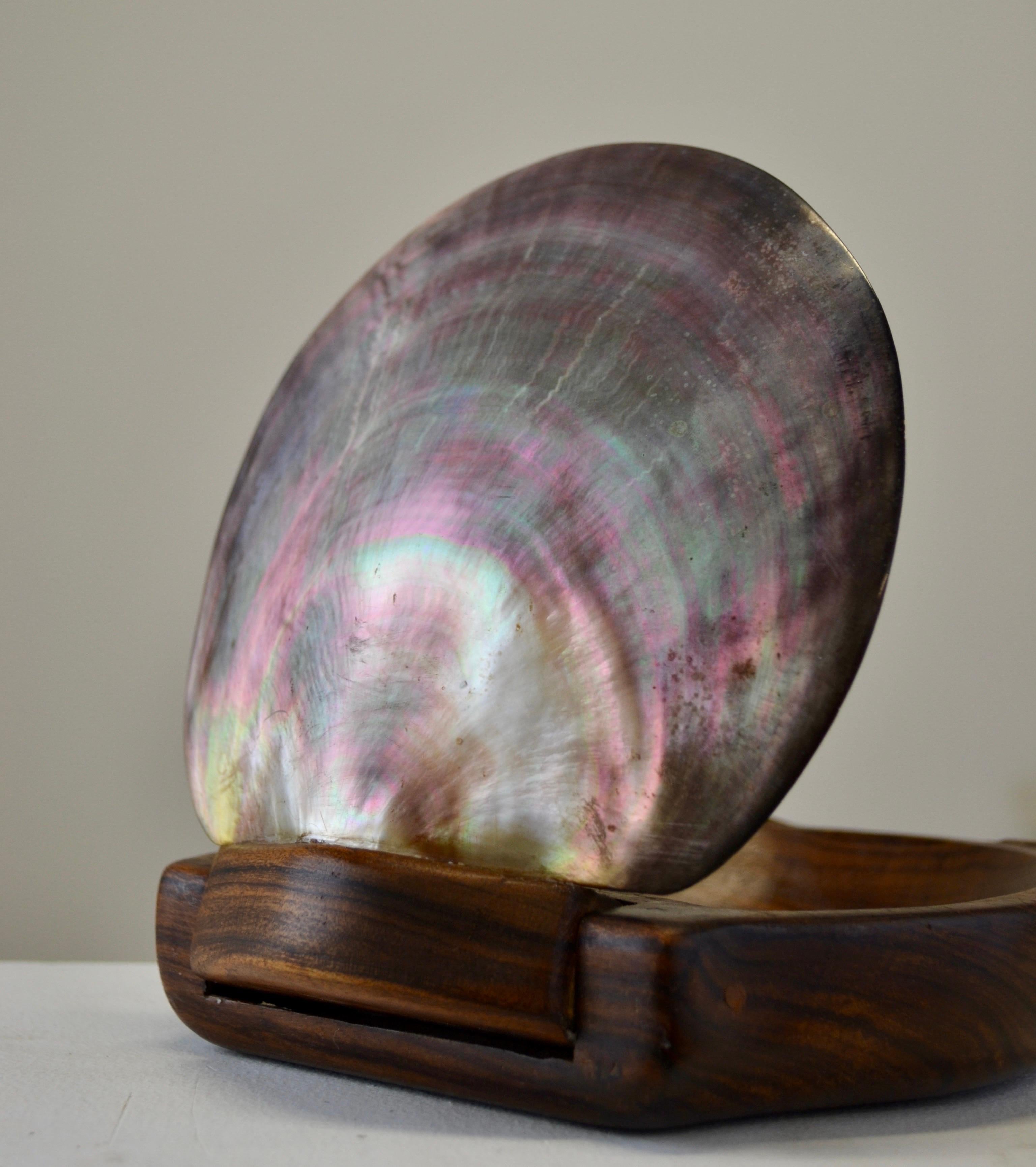 A shell and carved wooden box in the style of Alexandre Noll, France, 1950s For Sale 4