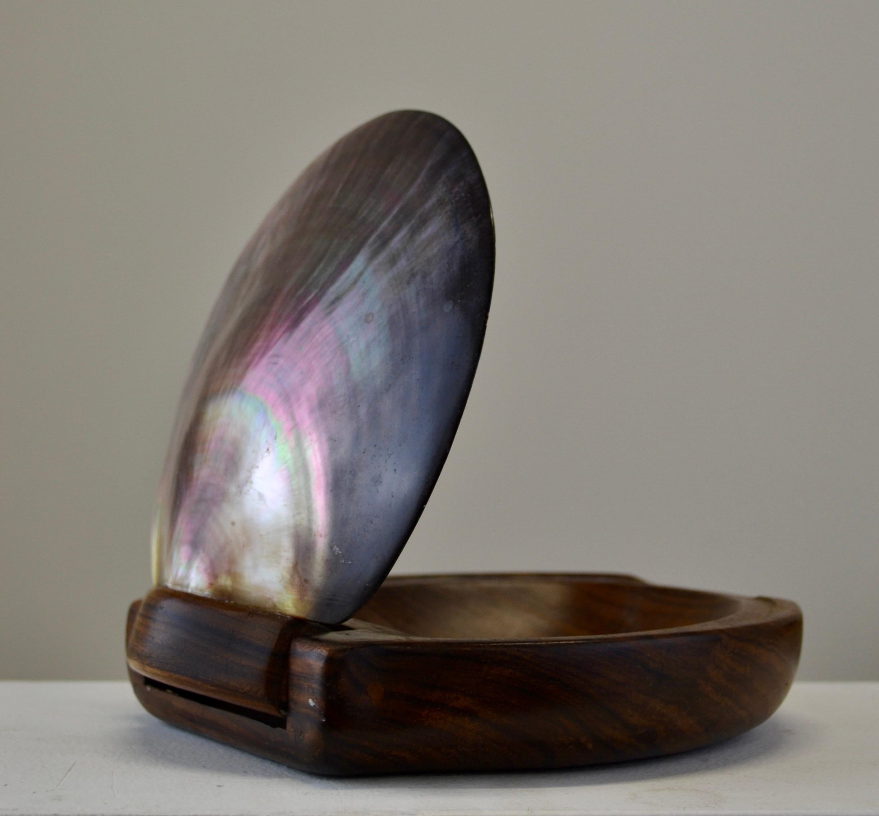 A shell and carved wooden box in the style of Alexandre Noll, France, 1950s For Sale 5