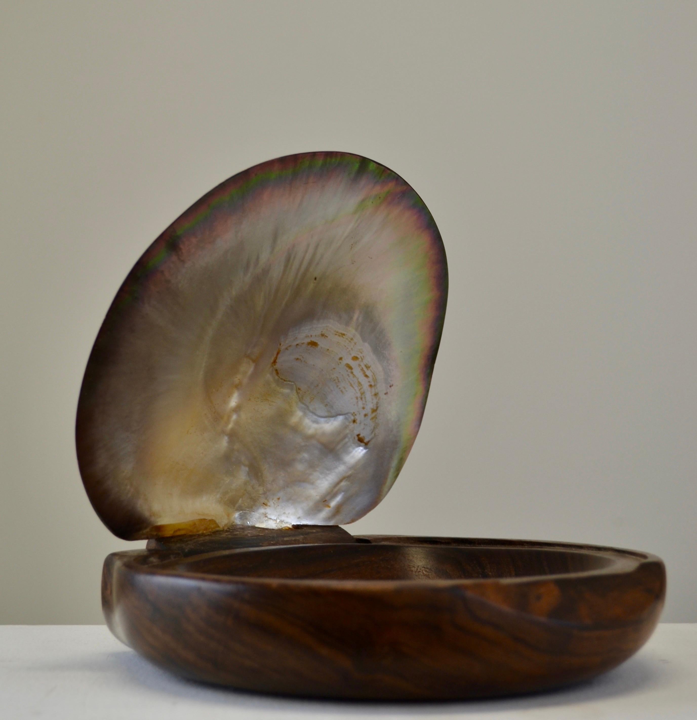 A shell and carved wooden box in the style of Alexandre Noll, France, 1950s For Sale 6