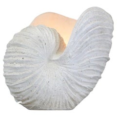 a huge fiberglass luminous seashell France 1970s