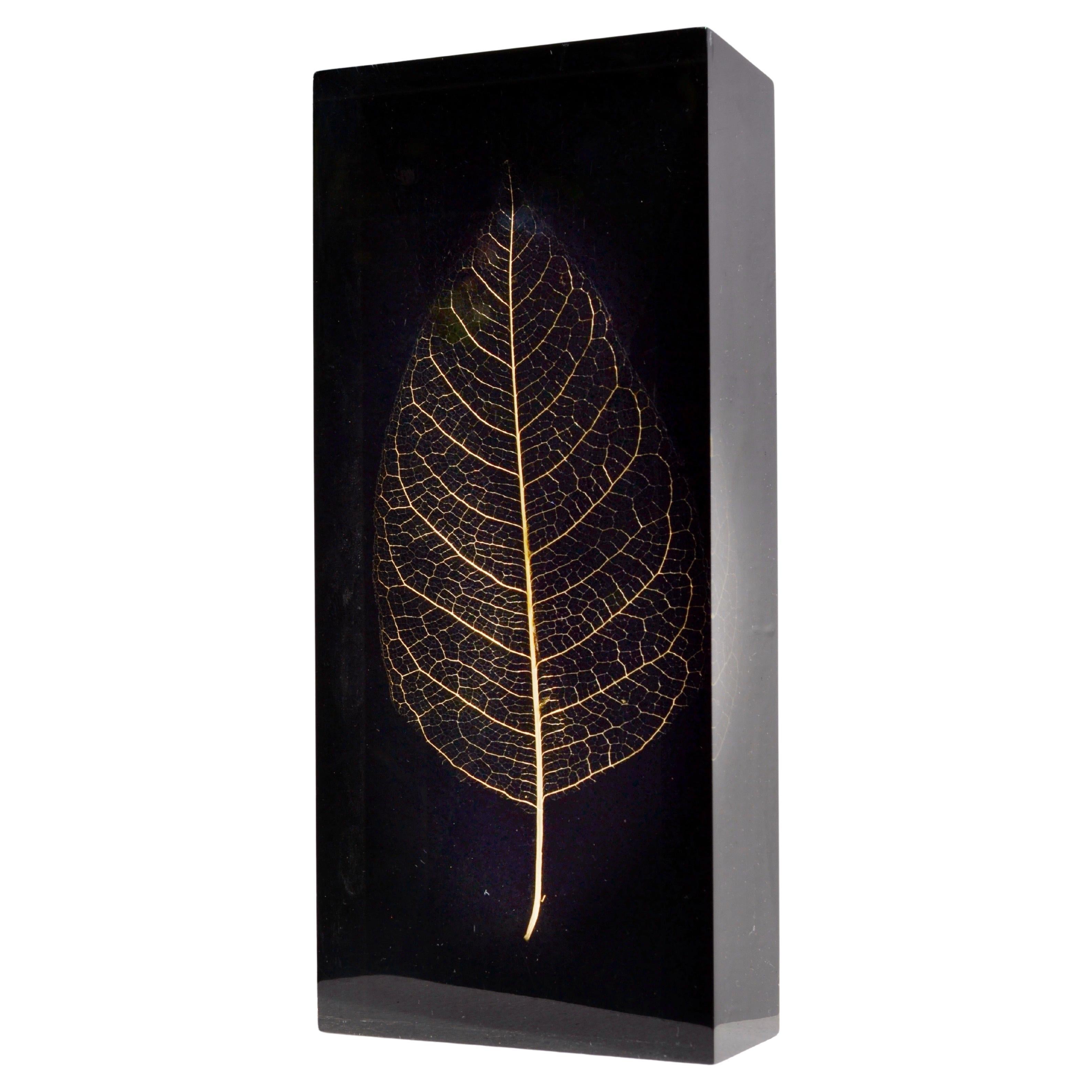 A Geometric Resin Paperweight with Gilded Leaf Inclusion – France, 1970s For Sale