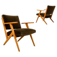 Brazilian Modern Armchair by José Zanine Caldas in Pau Marfim & Velvet, 1950s
