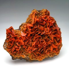 Wulfenite Sculpture from China, Rock Crystal, Floral Design, New