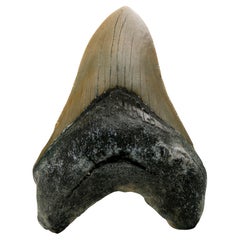 Sculture del XVIII secolo e precedenti