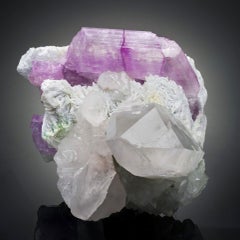 Genuine Kunzite on Quartz with Green Tourmaline from Pakistan – Collector Specim