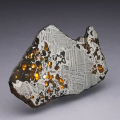 Echte Seymchan-Pallasit-Meteoritenscheibe, 225 g – Weltraumgestein für Sammler