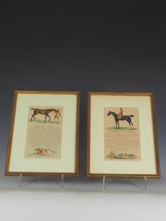 Two 19th Century Engravings “The Sportsman’s Pocket Companion” by James Roberts